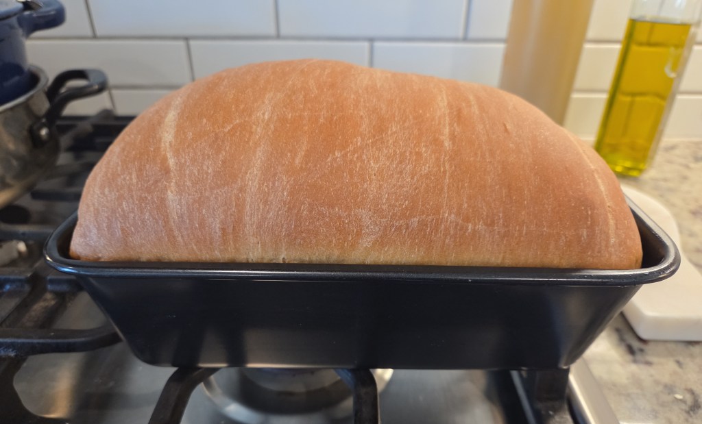 Homemade Sandwich Bread